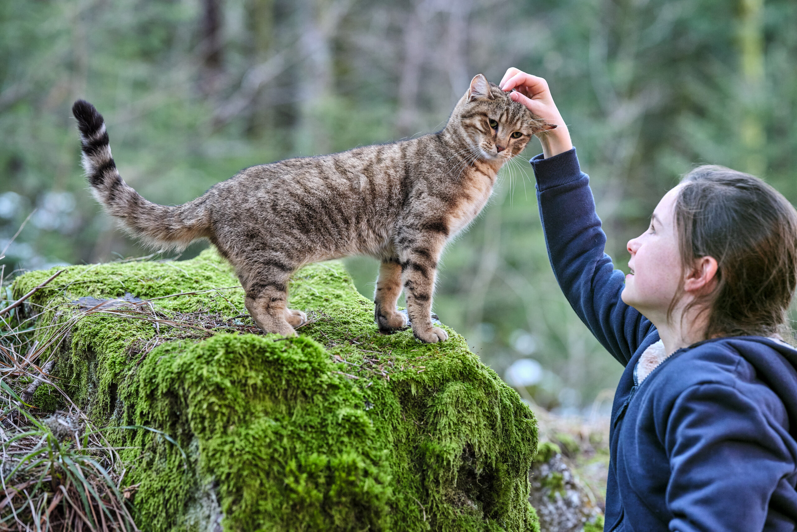 6. Mon chat et moi, la grande aventure de Rroû © Olivier Toussaint