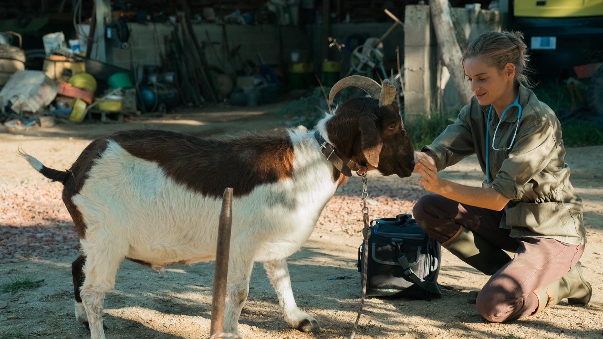 tva-films_photos_0000_la-releve_photo-5