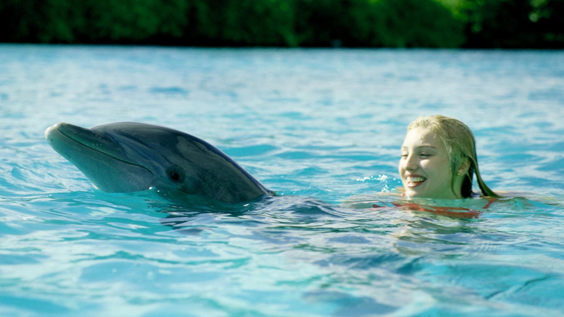tva-films_photos_0011_lile-au-dauphin_photo-4